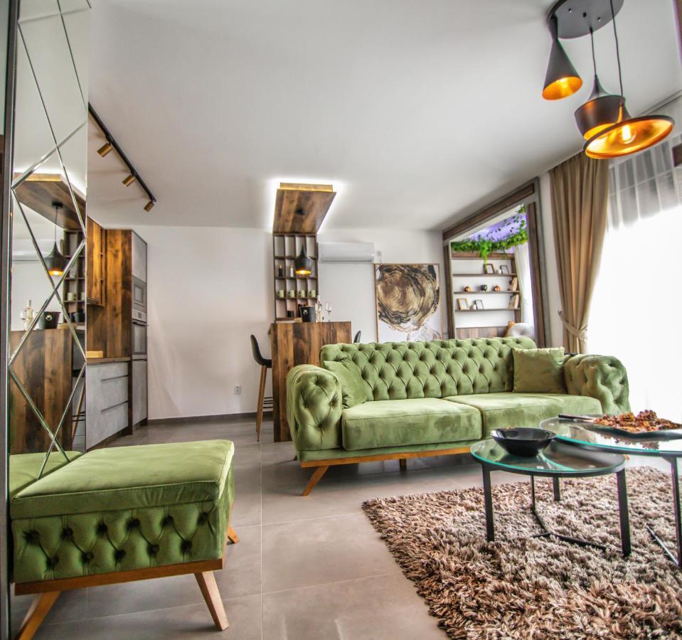 Royal Luxury Apartment Vrsac Eksteriør billede