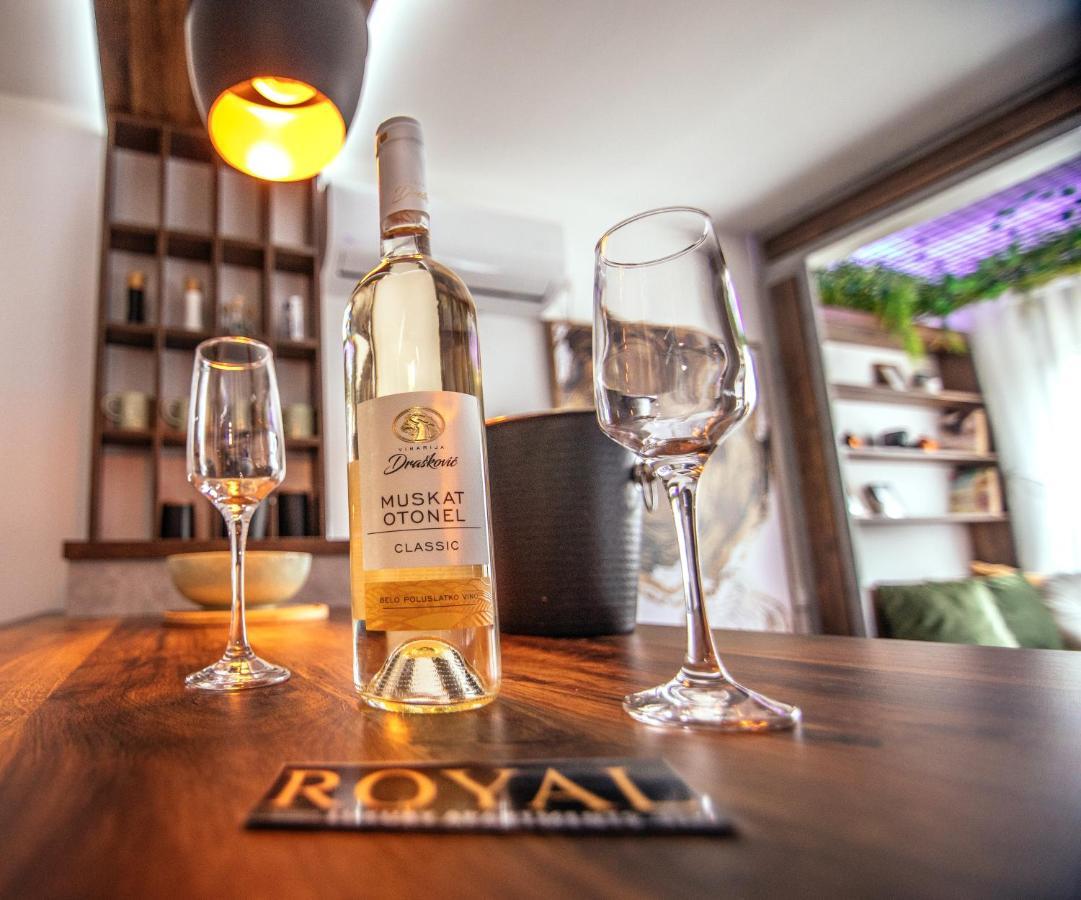 Royal Luxury Apartment Vrsac Eksteriør billede