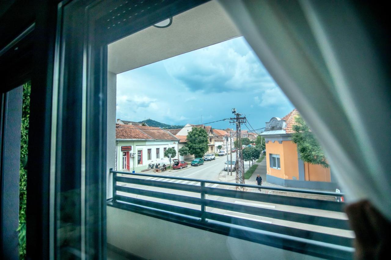 Royal Luxury Apartment Vrsac Eksteriør billede
